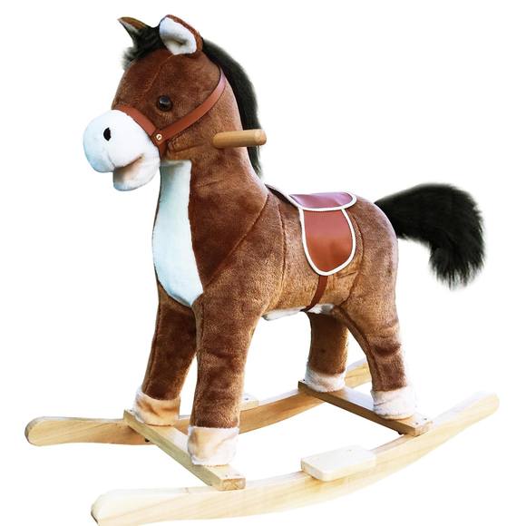 Meet your Posher, Frank - Picture 1 of 16